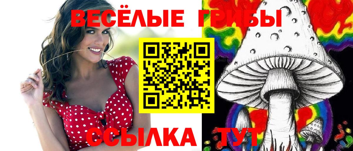 где купить наркоту  Псилоцибиновые грибы MAGIC MUSHROOMS  Вход с VPN  Псилоцибиновые грибы Cubensis  Кыштым 