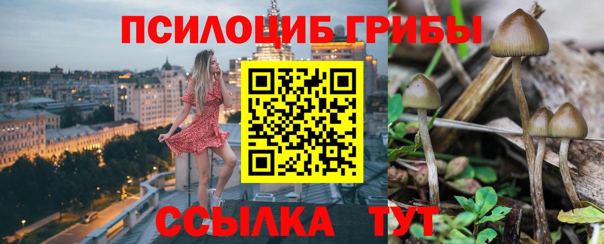 Галлюциногенные грибы мухоморы Кыштым